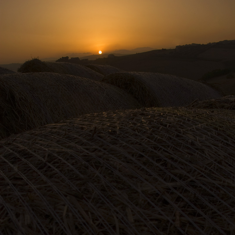 dune di fieno