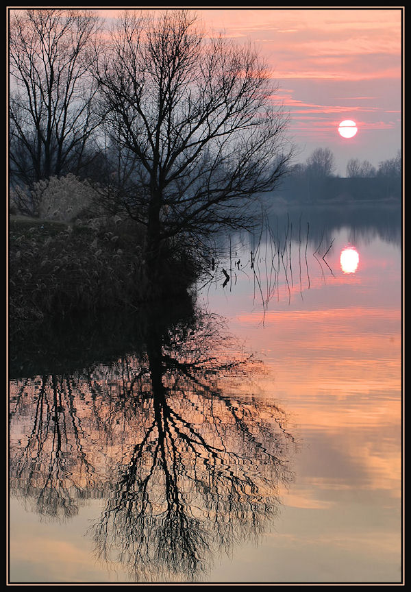 a volte il cielo � rosa....a volte