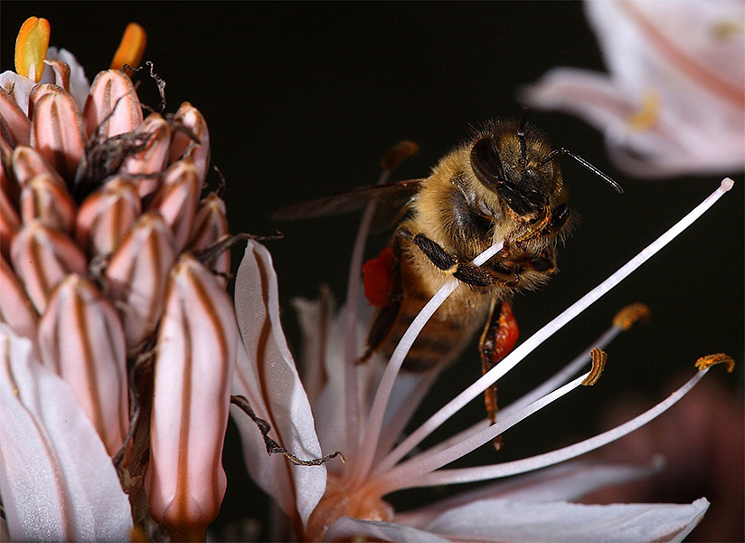 Un Assaggio...al volo.