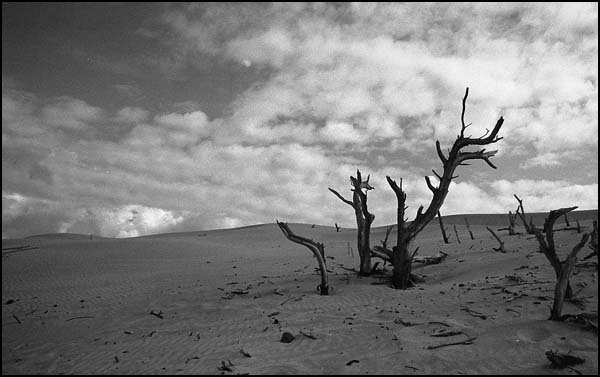 Desert