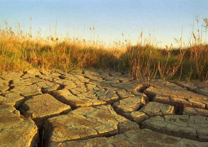 Dry land
