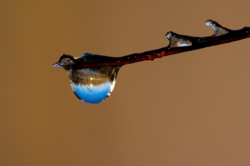Tutto in una goccia