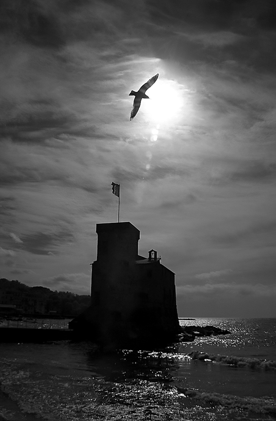 sulle ali della libert�