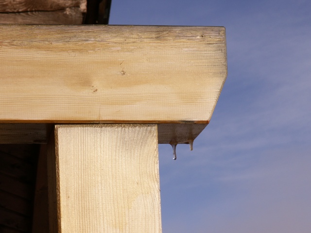 Il gelo di Bolzano...