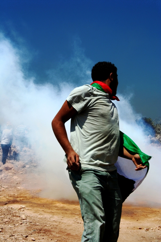 Un giorno in Cisgiordania