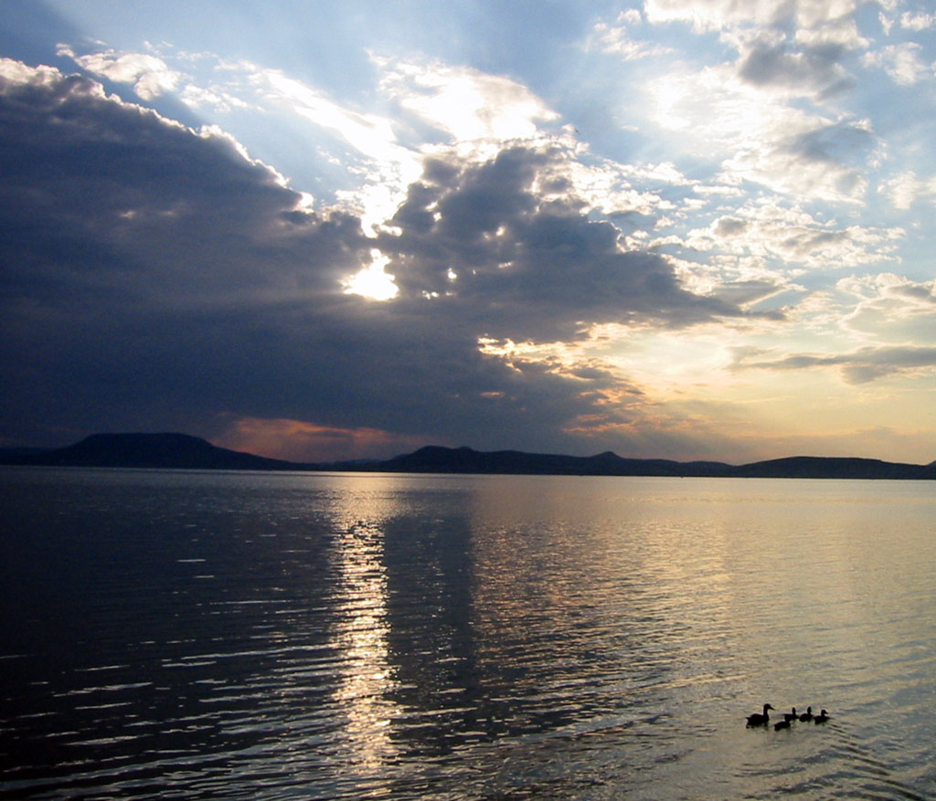 FAMIGLIOLA IN VIAGGIO