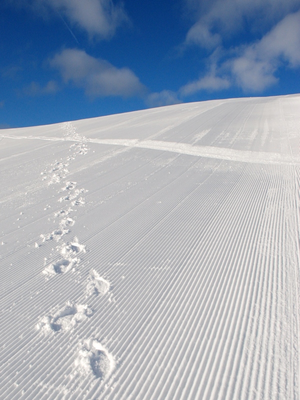 Uno sguardo alle spalle