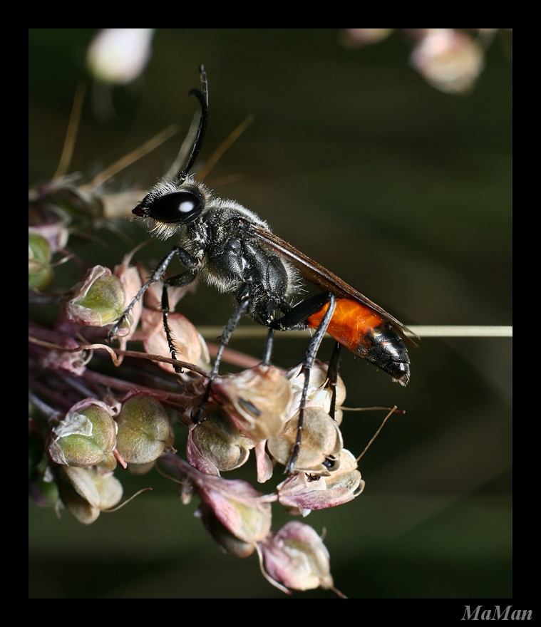Aspettando la primavera...