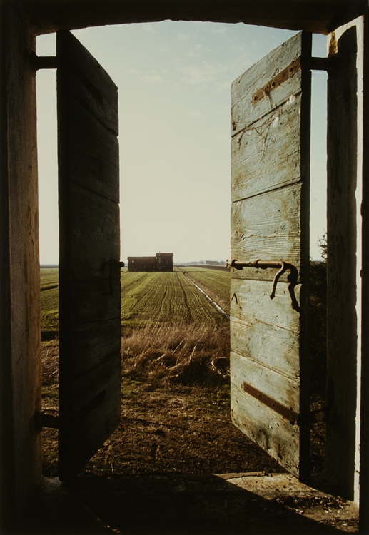 Non � mai tardo il canto che si leva pur da muri cadenti e reietti in lor tristezza;non � mai tardo il filo d'erba che,assurdo,tenta l'aria da la rovina,da cui l'occhio per sempre si distacc� per altre viste vive.(G.Arcangeli)