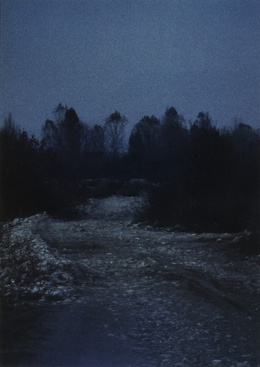 Non c'� un grillo e le stelle non han palpiti...