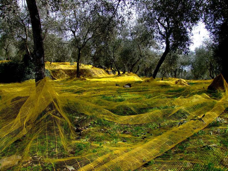 se tutto fosse giallo?