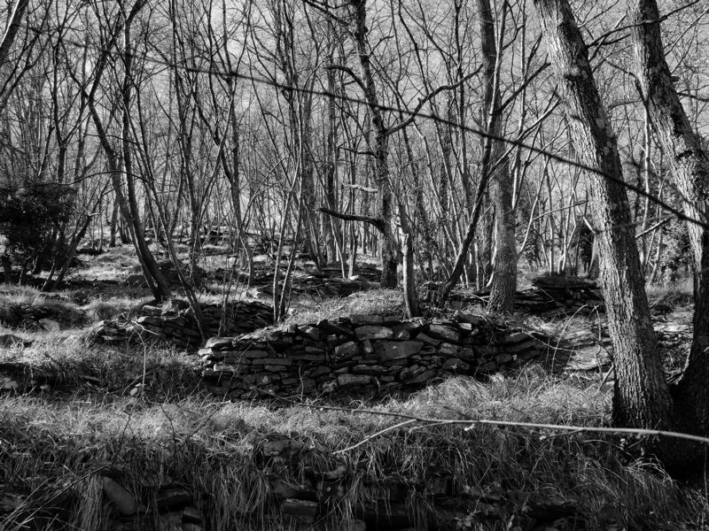 intrigo, forse come la vita