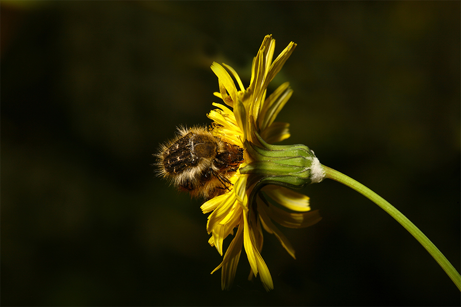...intanto noi cominciamo...!!!