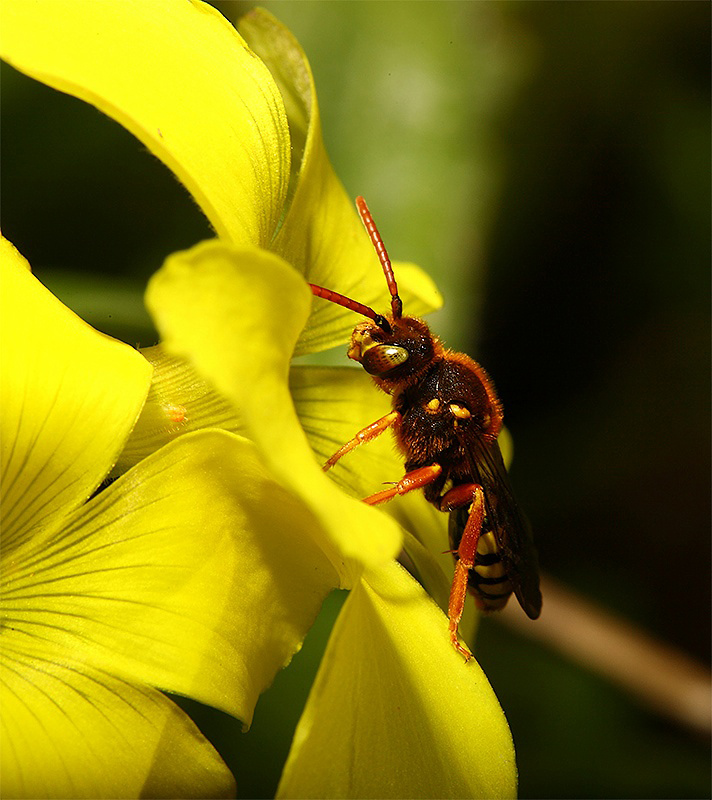 ...veramente piccina...!!!