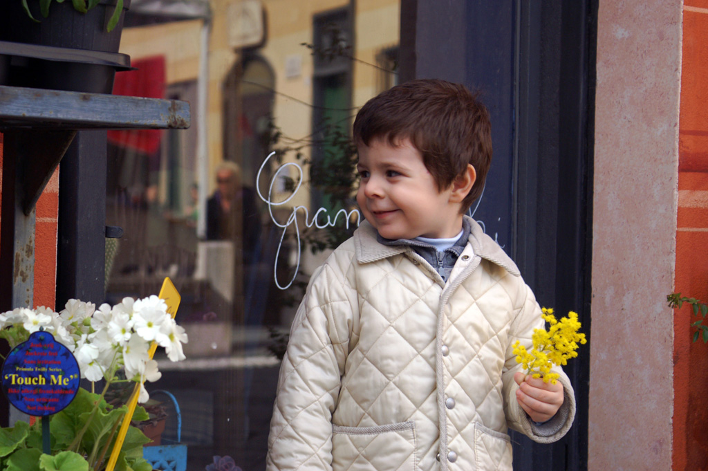 La voglio anch'io la mimosa