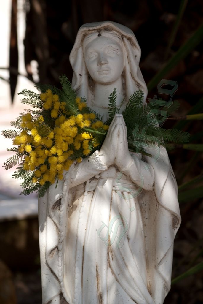 Festa della donna 2009