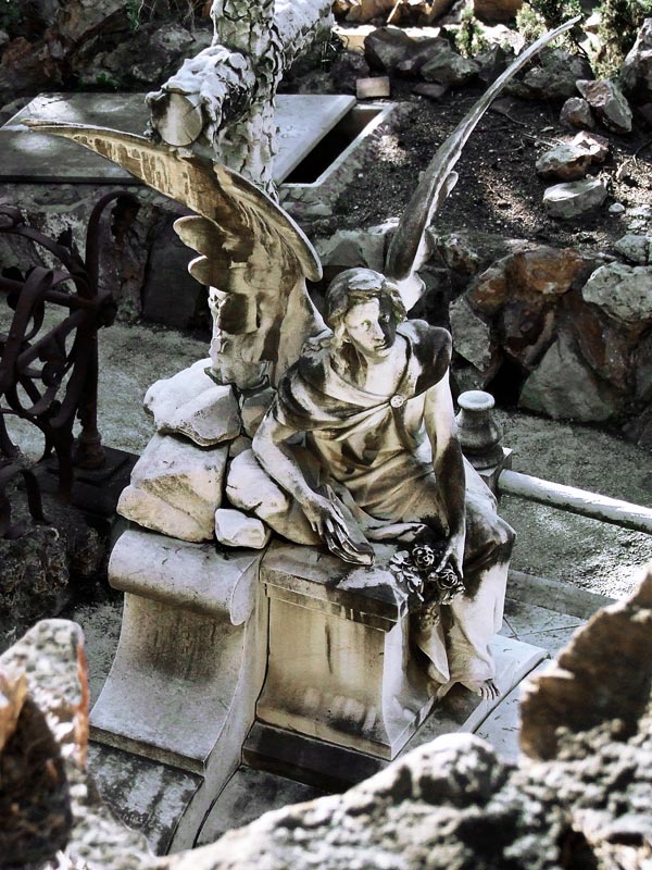 Esperanza de regressar