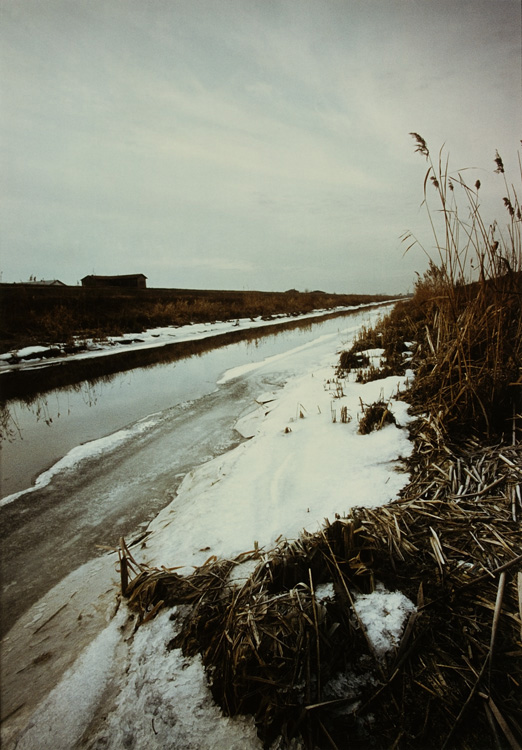Odo suoni leggeri che toccano silenzi intatti con il modo sommesso e pieno d'ombra ch'� proprio dell'albe e dei risvegli. (G.Arcangeli)