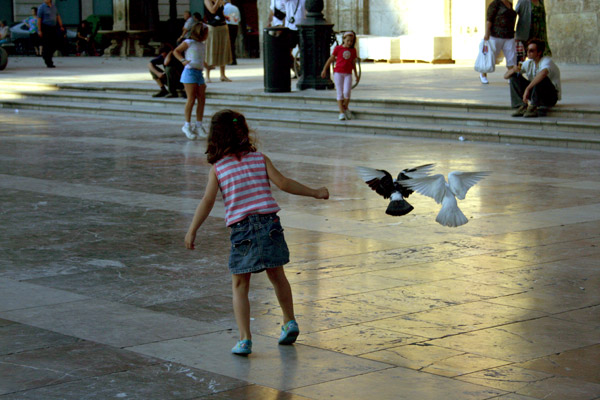 Valenc�a - come colombe