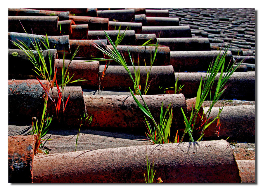 La vita dal...nulla !!