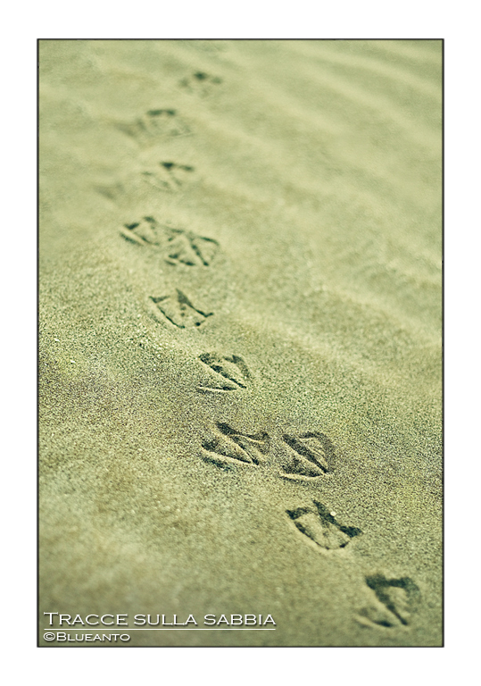 Tracce sulla sabbia