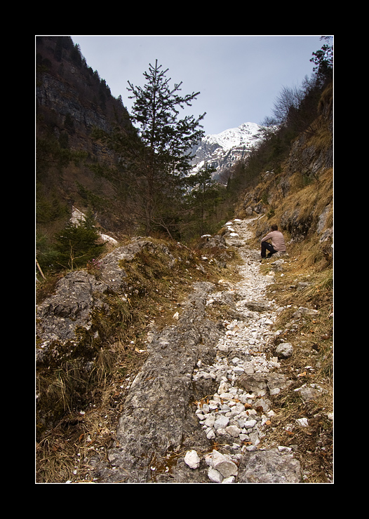 Alla Ricerca della Felicit�