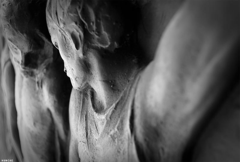 forgive me  (the others)