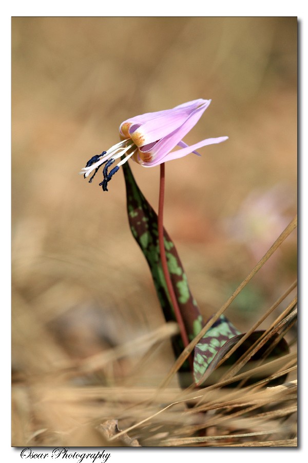 tutt'intorno..arido..