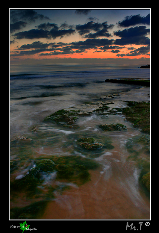 e dolce naufragar in questo mar