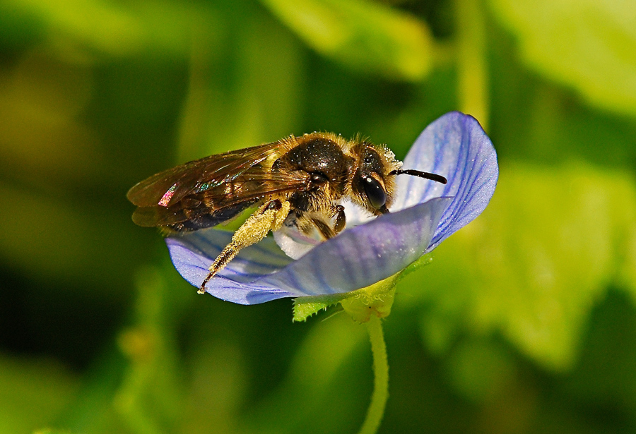 Piccolissima su piccolissimo