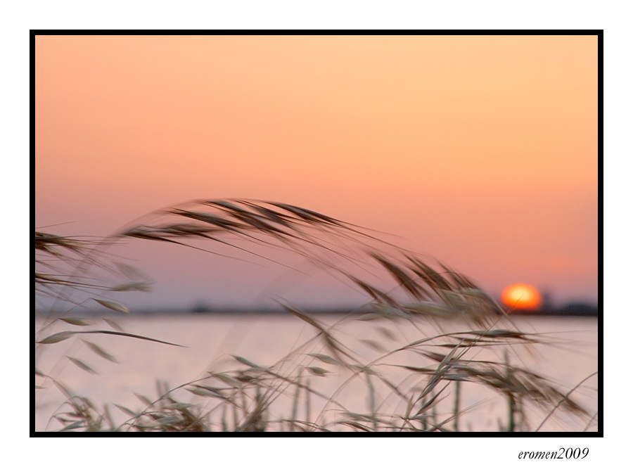 ...IL VENTO ACCAREZZA IL SOLE...