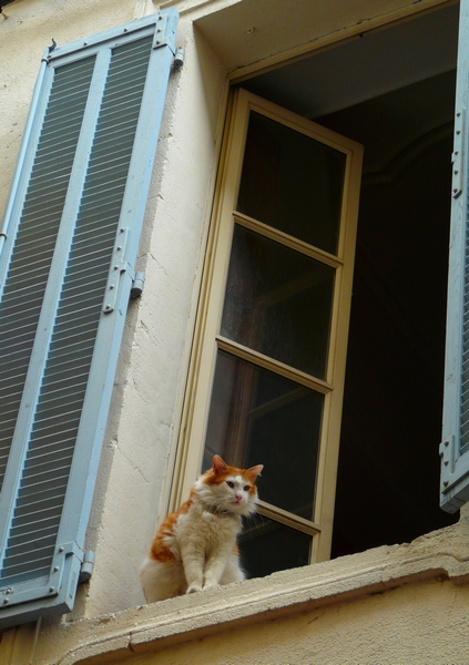 qui io sono di guardia