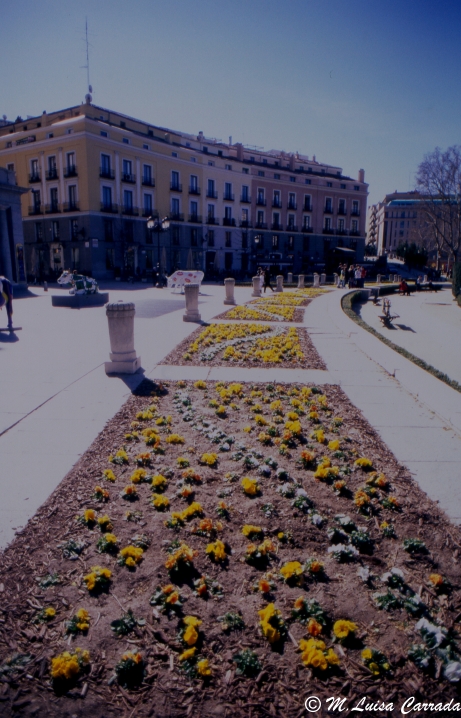 plaza de Espa�a