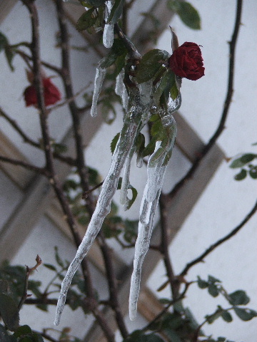 Primavera in anticipo 2