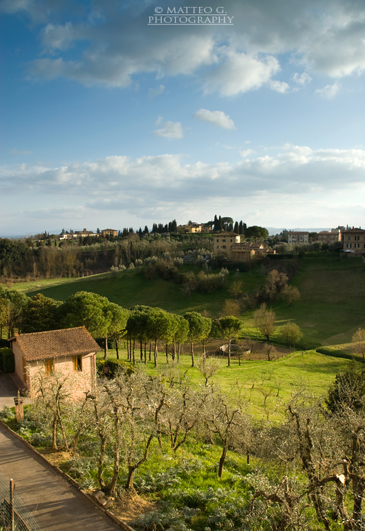 Terre di Siena 1
