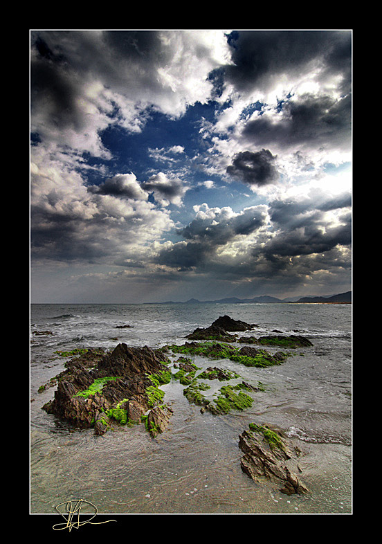 Seaside Landscape No1