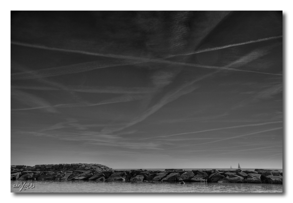 Scie... 2