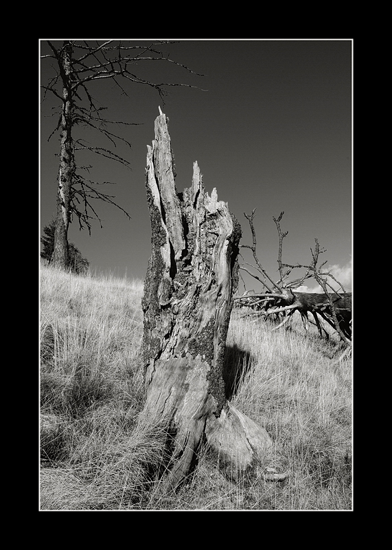 graveyard by .......