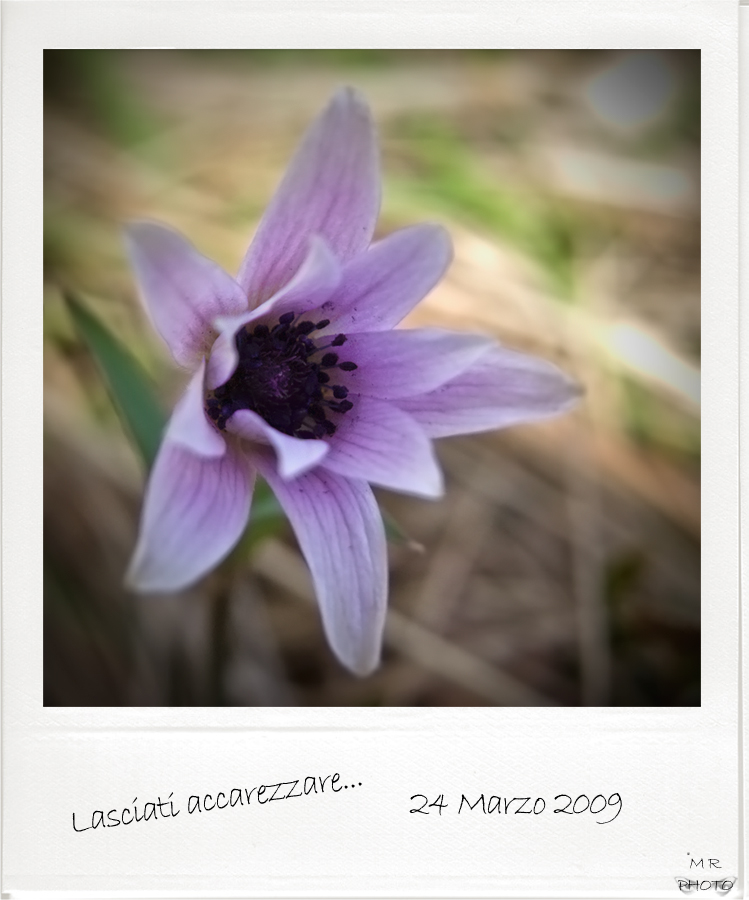 Lasciati accarezzare...