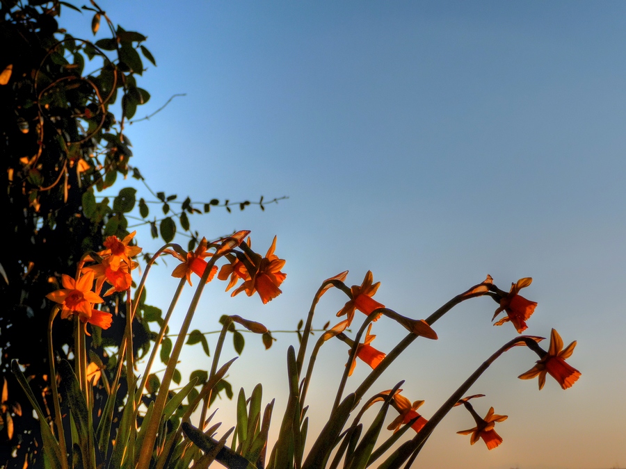 in attesa della sera