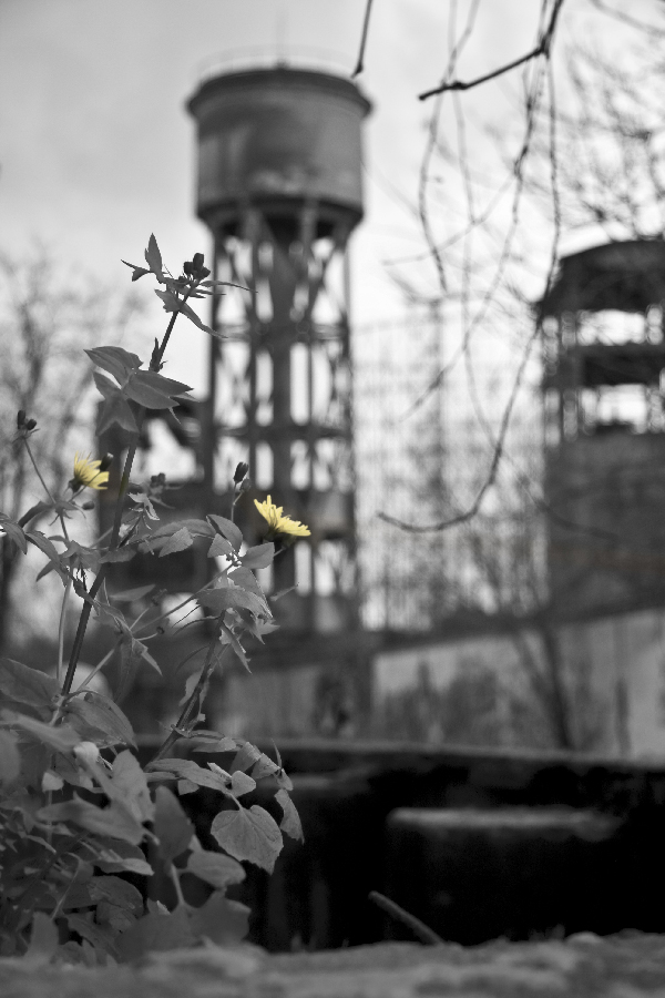 Ambiente Post Industriale