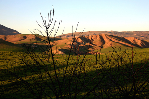 colline al tramonto