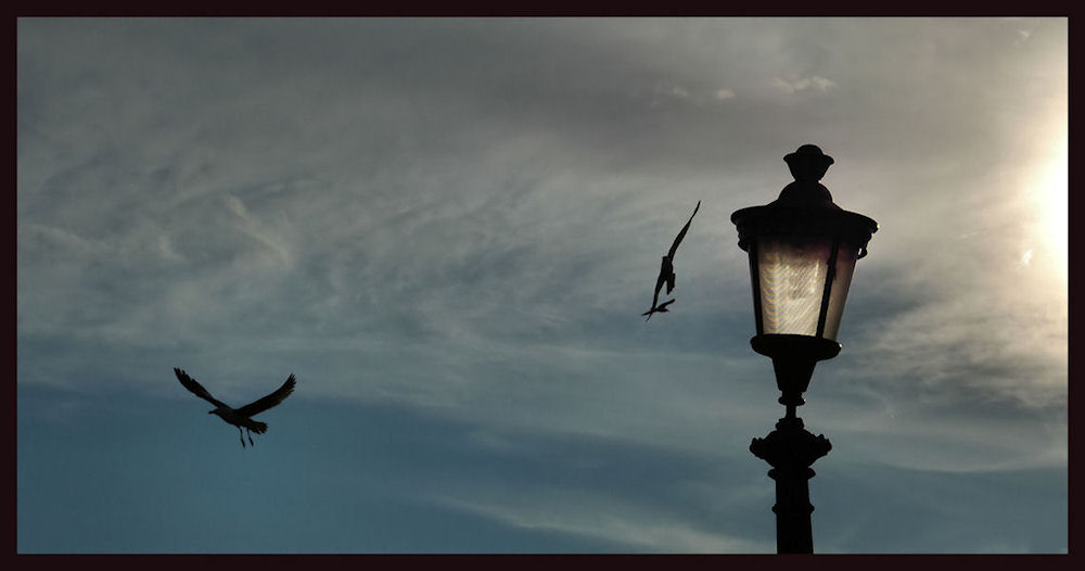 voli impercettibbili