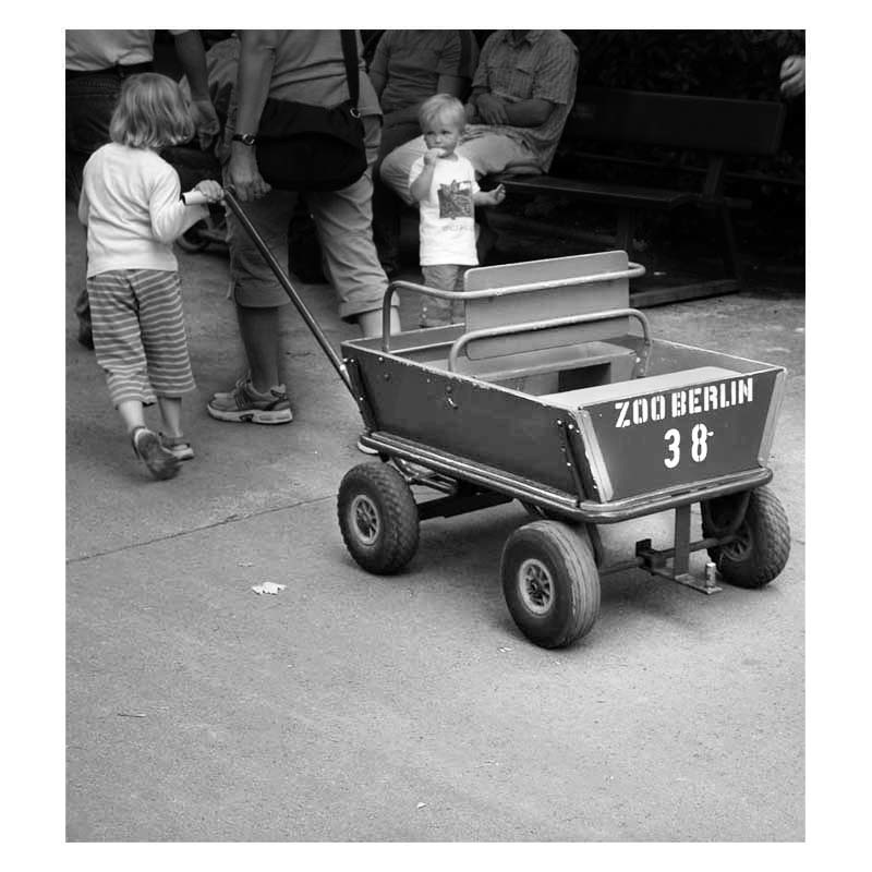 i sogni nel carretto