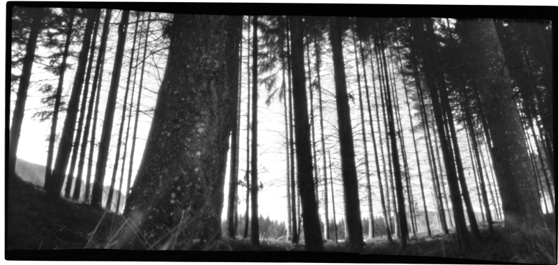 My pinhole - prova