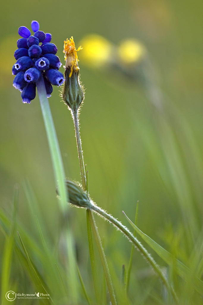 i due innamorati e la delusa