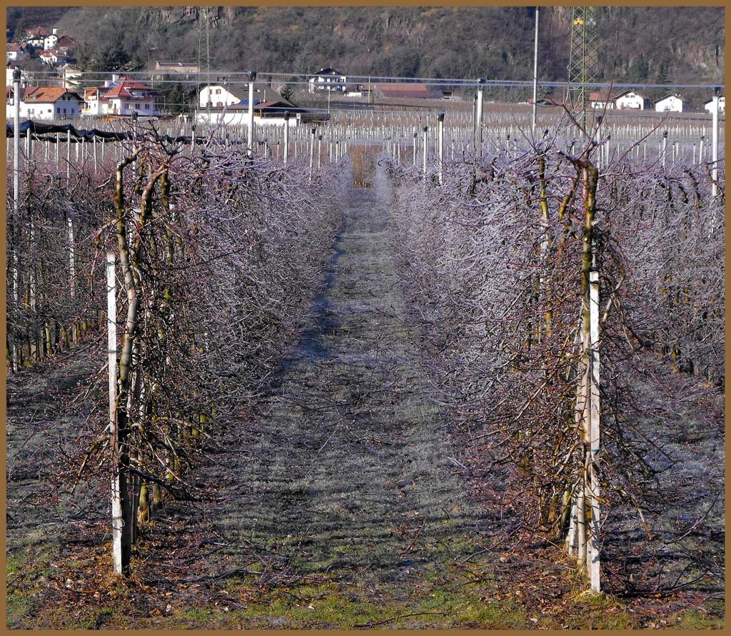il ghiaccio fa da protezione...