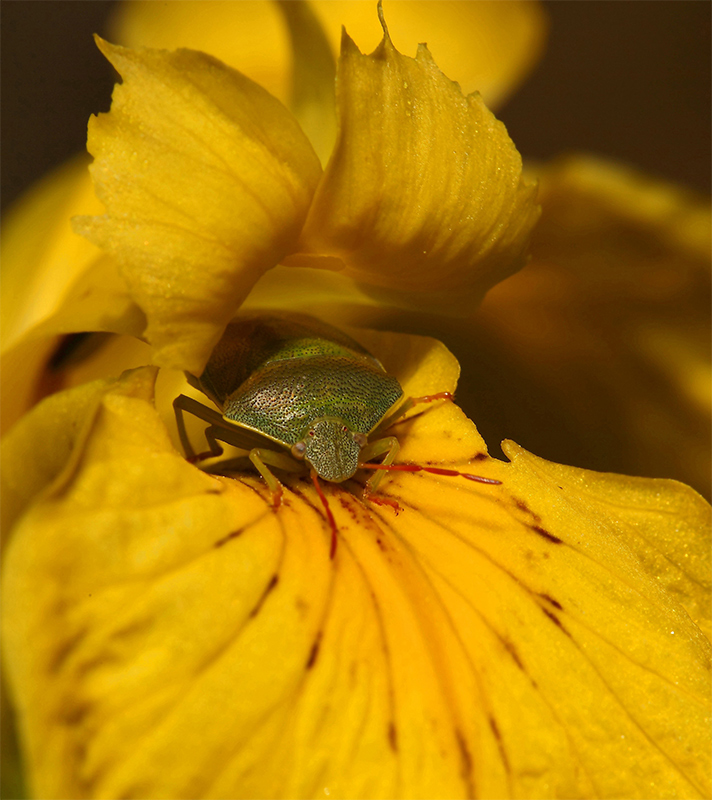 ...e questa � casa mia...