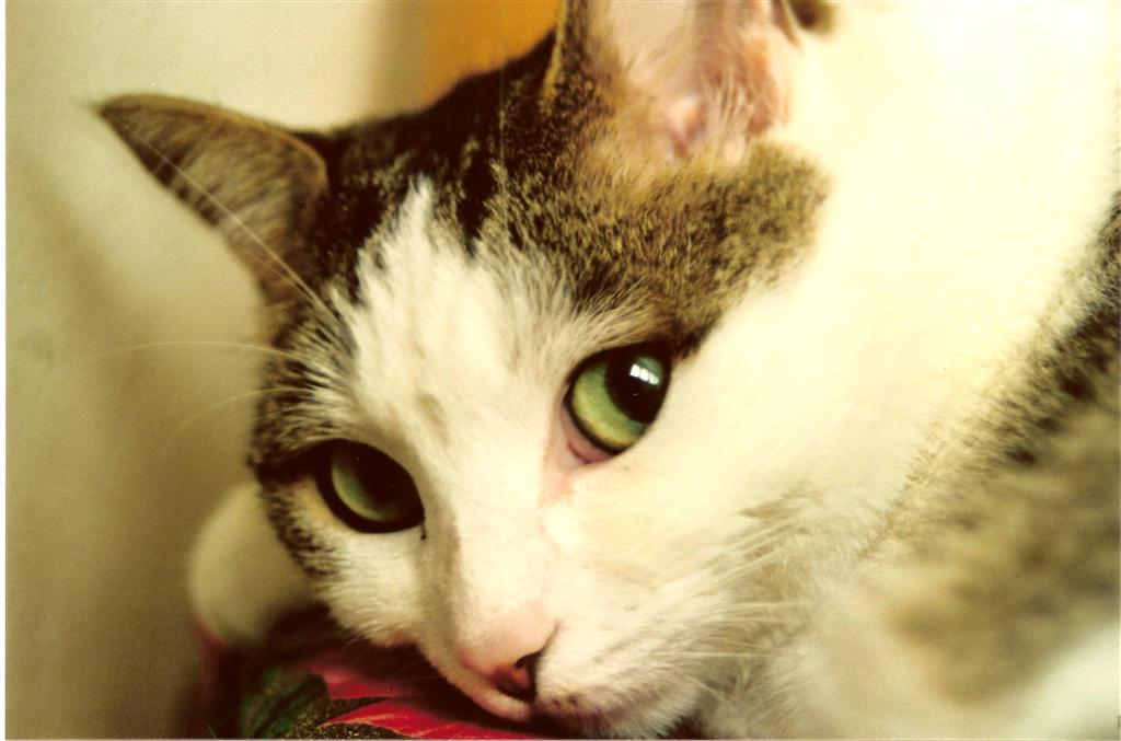 La migliore compagna!