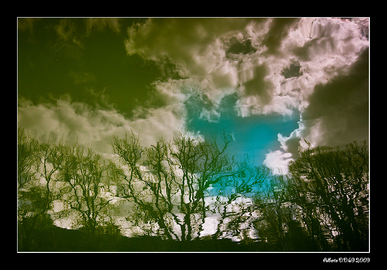 ...riflessi...